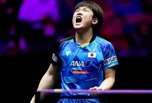 比利时乒乓球队碾压法国乒乓球队，张本智和爆发神勇的简单介绍