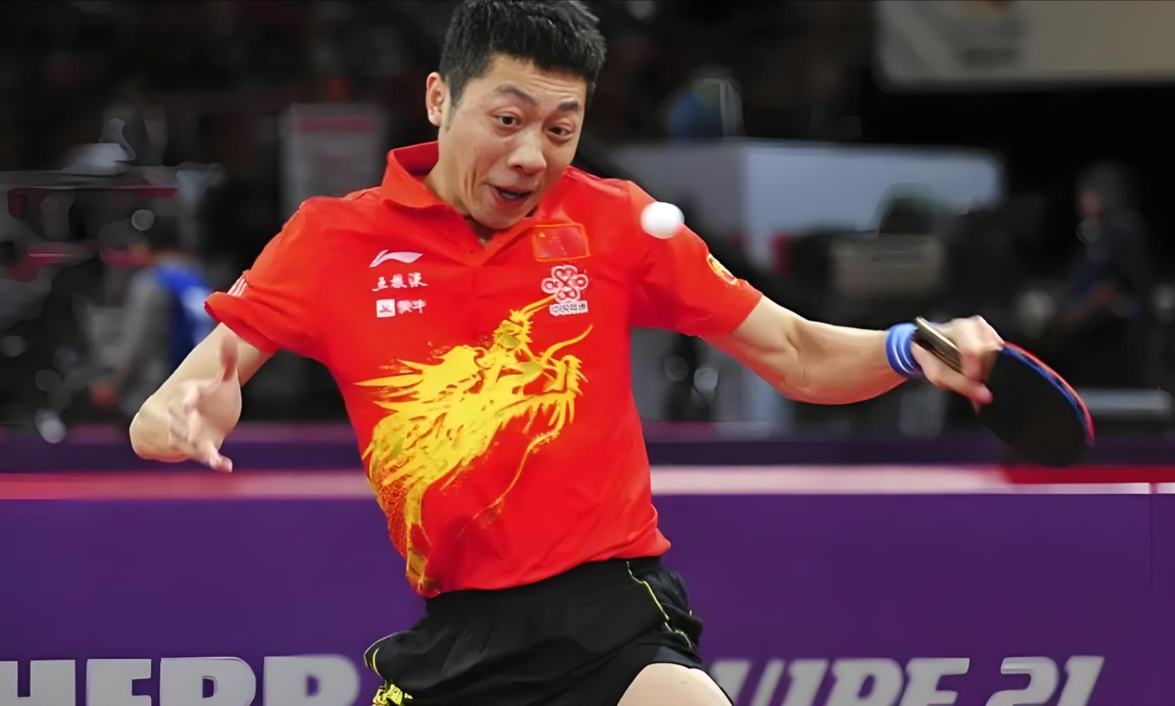 中国乒乓球队完胜法国乒乓球队，许昕打破历史纪录的简单介绍