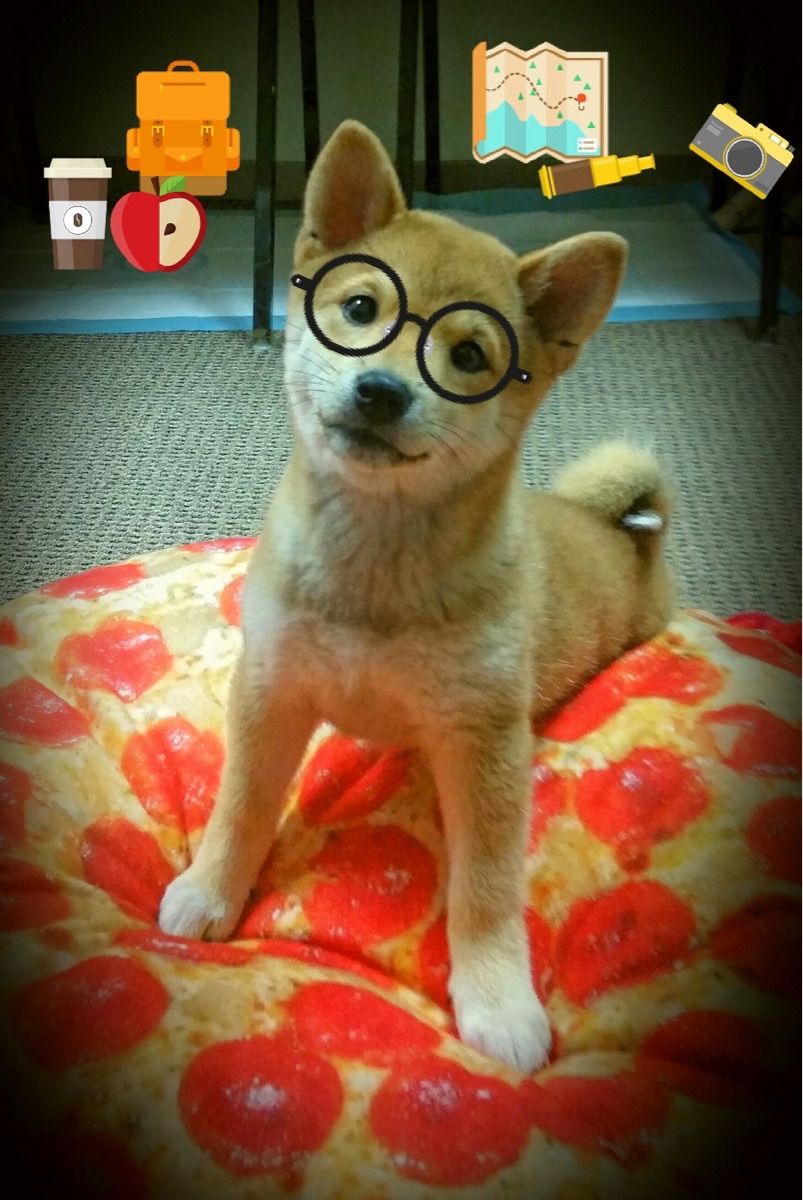 篮网对阵太阳，小贾伦·杰克逊如何成为全场焦点