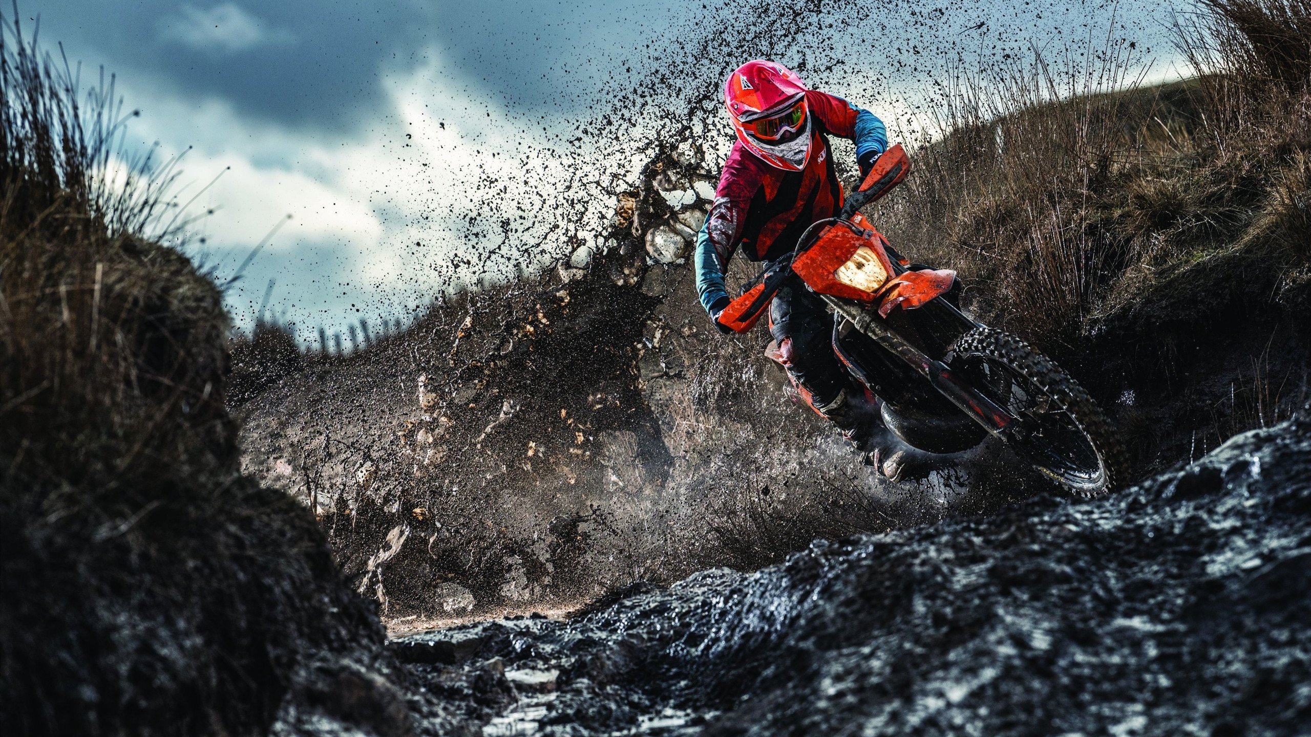 辽宁队终结奇才，欧文成为关键先生